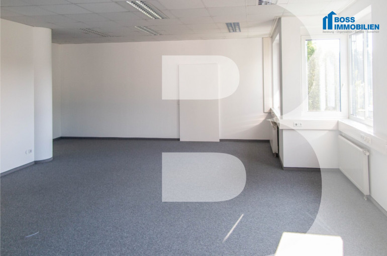Büro / Praxis - 4600, Thalheim bei Wels - Inspirierende Bürofläche