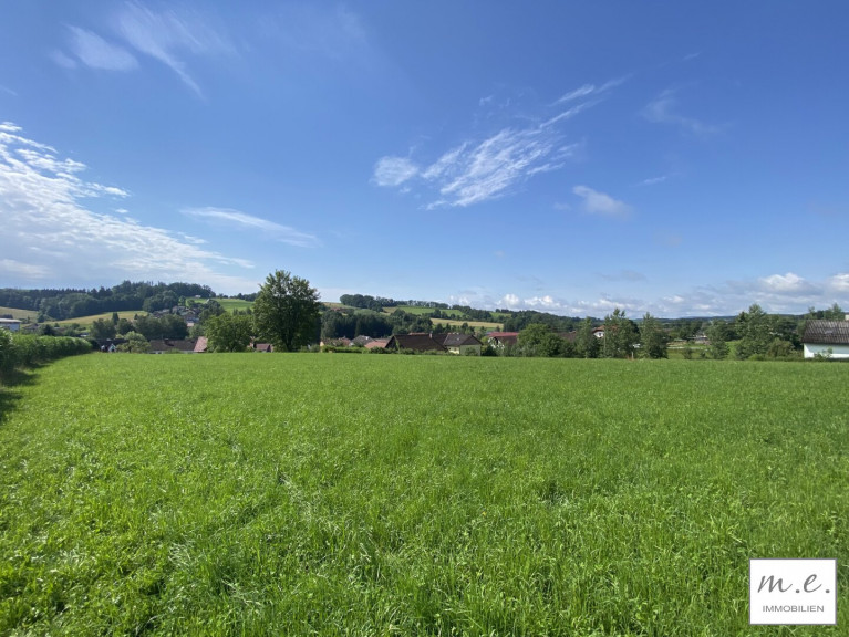 Grundstück - 4713, Gallspach - 2 Grundstücke zu verkaufen - KEIN Bauzwang (2 von 2)
