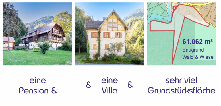 Haus - 9816, Napplach - Pension & Gasthof & Villa & Baugrund & Wald & Wiese