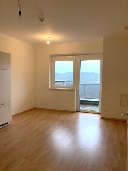 Wohnung - 2813, Lichtenegg - gemütliche 1-Zimmer-Wohnung mit Balkon in Lichtenegg - Top 17