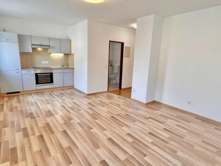 Wohnung - 8010, Graz - provisionsfrei: renovierte GARCONNIERE - Nähe Schulzentrum St. Peter im 1.OG