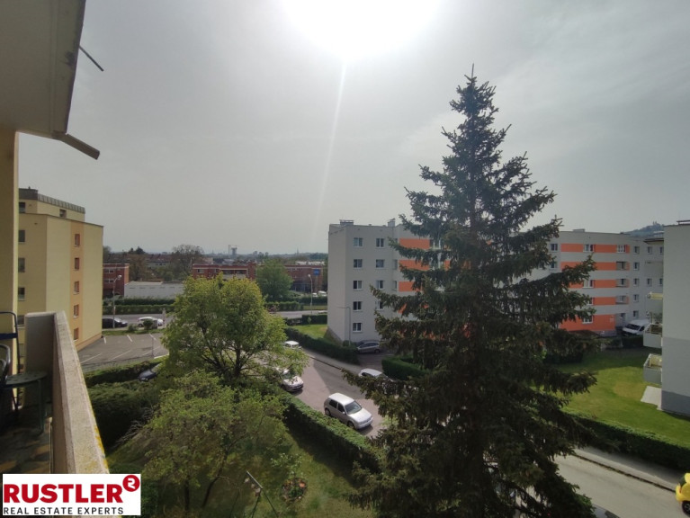 Wohnung - 4040, Linz - Bestlage in Urfahr/Magdalena- 10 Minuten auf der Uni, 10 Minuten am Hauptplatz! 