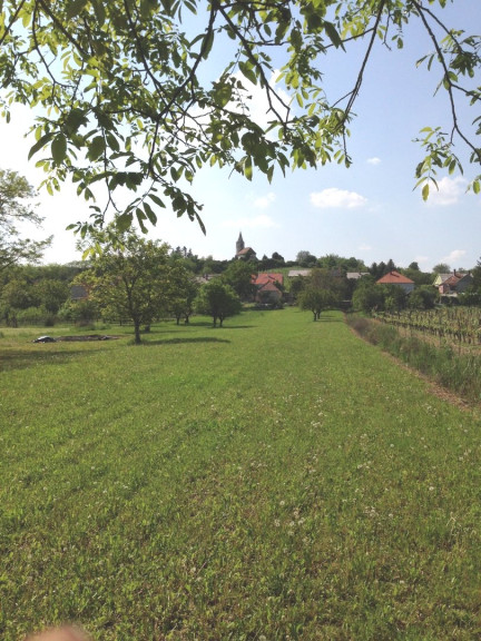 Grundstück - 9494, Sopron - Nationalpark Neusiedler See – Haus mit traumhaftem 3.000 qm Naturgarten 