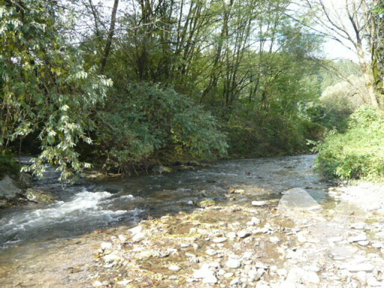 Sonstige - 8573, Kainach bei Voitsberg - Fischereirecht an der Kainach