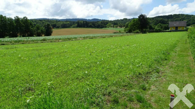 Grundstück - 8455, Oberhaag - Baugrund und landwirtschaftliche Fläche im "Naturpark Südsteiermark"