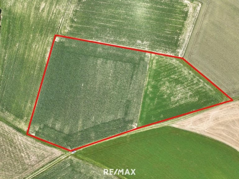 Land und Forstwirtschaft - 3243, St. Leonhard am Forst - Ca. 1,6 ha große Ackerfläche