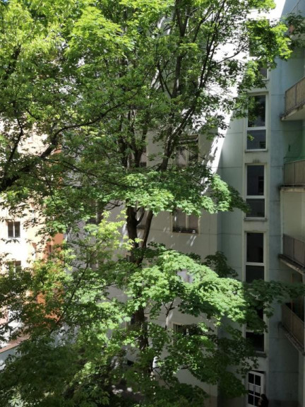 Wohnung - 1020, Wien - Ruhige Innenhofwohnung