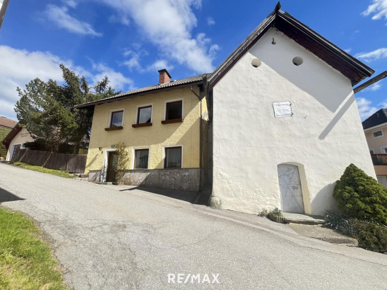 Haus - 5580, Tamsweg - Idyllisches Einfamilienhaus mit Troadkasten und traumhaftem Garten in Wölting, Tamsweg