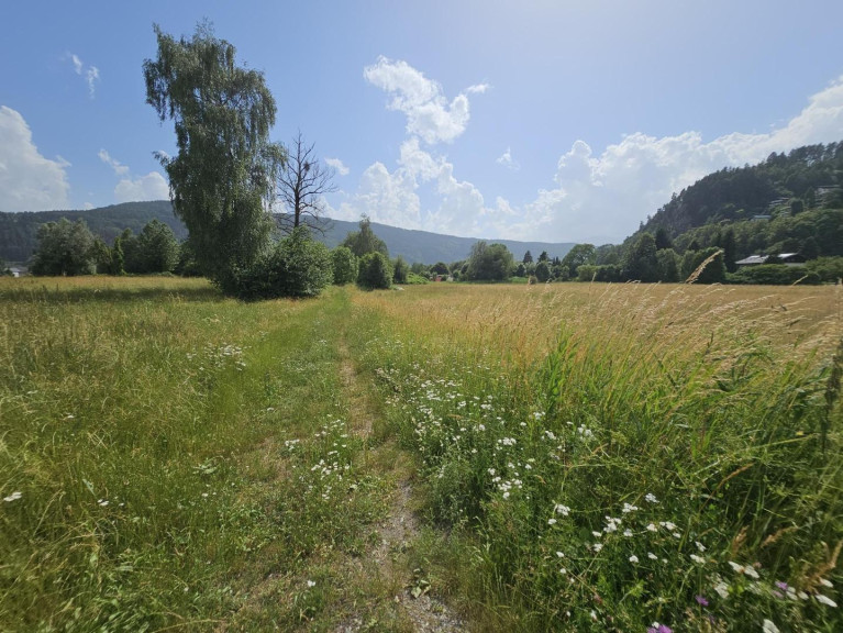 Grundstück - 9873, Döbriach - Attraktives Bauland Kurgebiet Aufschließungsgebiet mit 6.855 m² in SEENÄHE - ein Standort für Wohnprojekte oder Tourismus