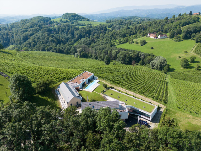 Wohnung - 8472, Graßnitzberg - SÜDSTEIERMARK: Stilvolles Apartment mit Weinbergblick - ATTRAKTIVES INVESTMENTOBJEKT