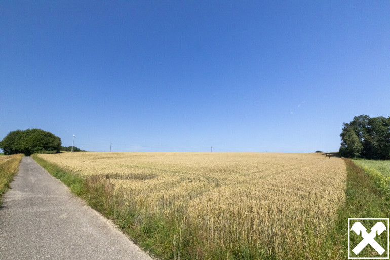 Grundstück - 4880, Walsberg - Landwirtschaftliche Fläche - Acker