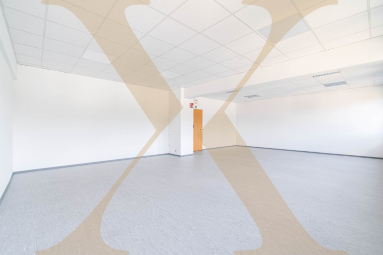 Büro / Praxis - 4600, Wels - Helle Bürofläche mit kostenlosen Parkplätzen im Zentrum von Wels/Lichtenegg zu vermieten!