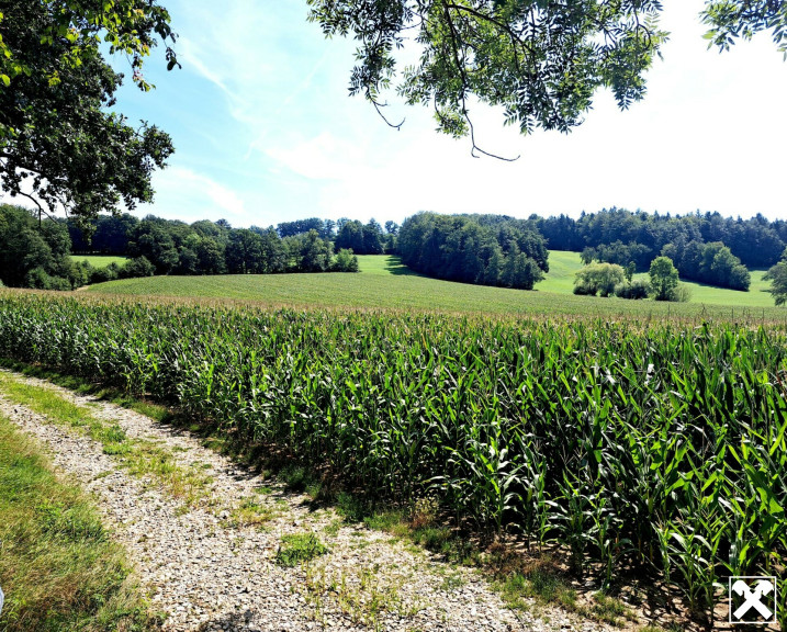 Grundstück - 3071, Fahrafeld - ACKER FAHRAFELD - ZUM VERKAUF