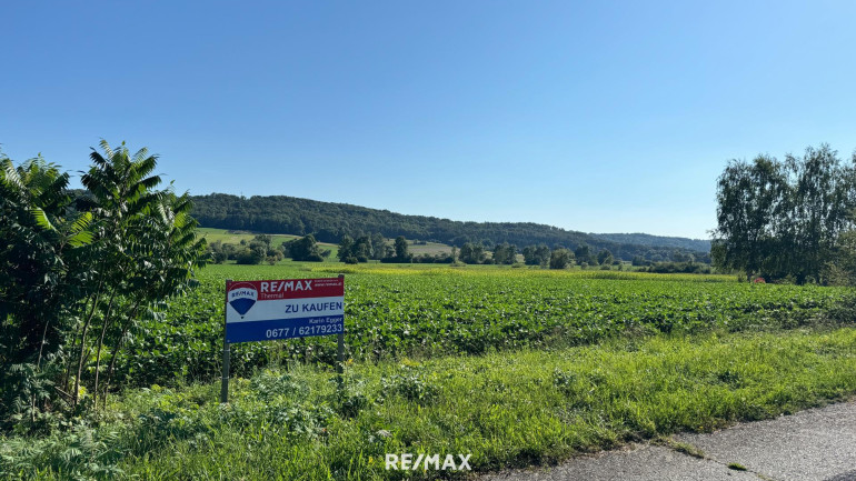 Grundstück - 7535, Rauchwart im Burgenland - schönes, ebenes Grundstück ohne Bauzwang KAUFANBOT ANGENOMMEN