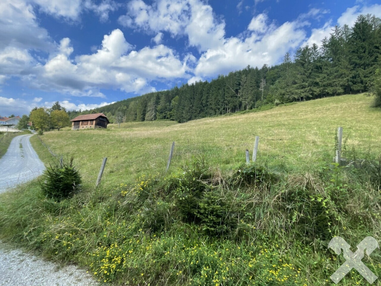 Grundstück - 8152, Södingberg - Wald und landwirtschaftliche Flächen mit altem Stallgebäude in Södingberg