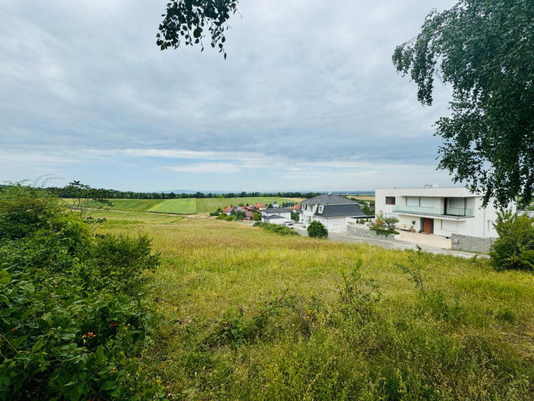 Grundstück - 2443, Stotzing - Tolles Grundstück mit Aussicht bis nach Wien!