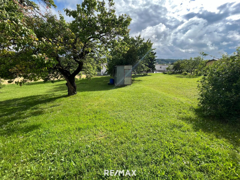 Grundstück - 7021, Draßburg - Großes Grundstück mit der Natur im Blick! Kein Bauzwang! Teilbar!