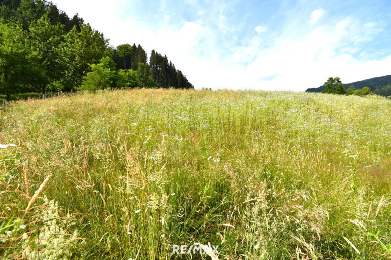 Grundstück - 9560, Feldkirchen in Kärnten - Sonniger Baugrund am Waldrand