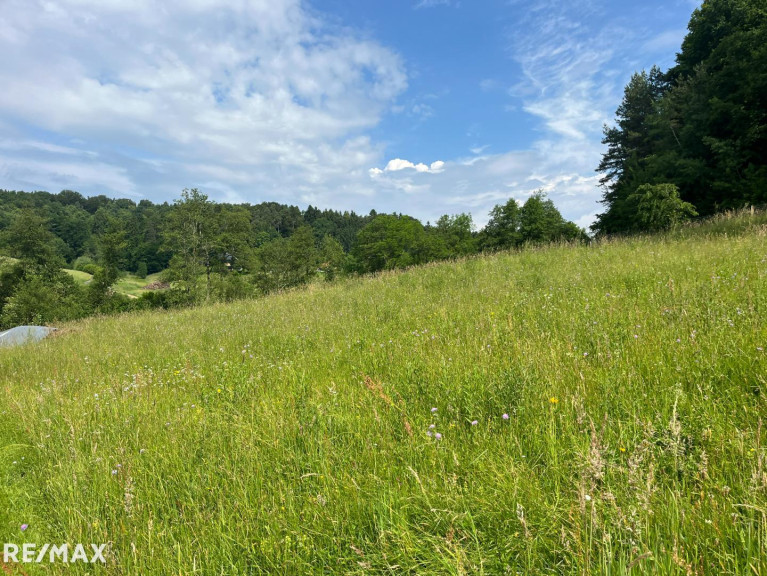 Grundstück - 8076, Vasoldsberg - Gewerbegrund in Ortsrandlage