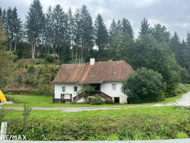 Land und Forstwirtschaft - 8162, Passail - Uriges Bauernhaus in idyllischer Lage mit Wald und Wiesenflächen