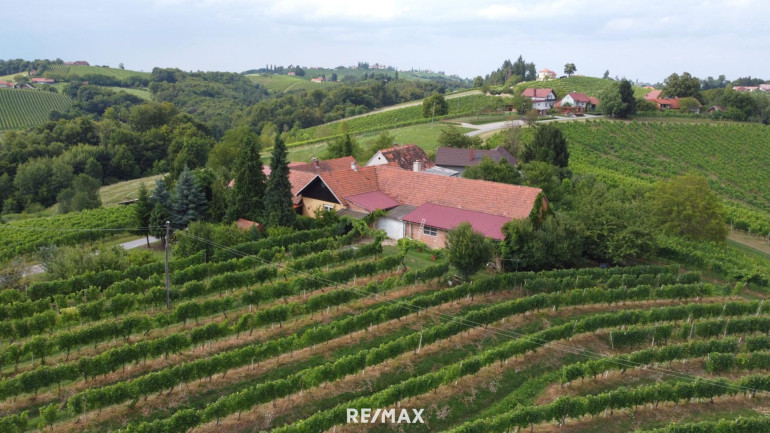 Haus - 8490, Bad Radkersburg - IN SLOWENIEN - Weingut in der berühmten Weinbauregion JERUZALEM