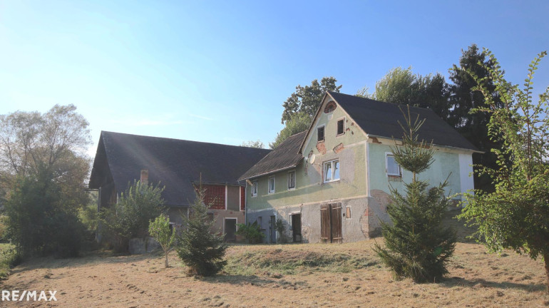 Haus - 8330, Feldbach - Grundstück mit altem stark sanierungsbedürftigem Bauernhaus und Stall