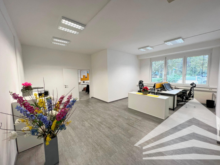 Büro / Praxis - 4030, Linz - Helles 130 m² Büro mit Lager am Franzosenhausweg sofort verfügbar!