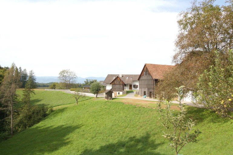 Land und Forstwirtschaft - 8503, Sankt Josef (Weststeiermark) - Weststeiermark nahe Graz: Leben im Grünen - Gebäude und großes Grundstück mit vielen Möglichkeiten