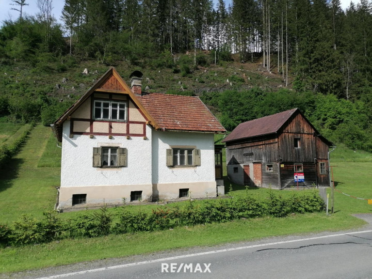 Haus - 8621, Thörl - Haus mit Stall, Wiese und Wald in Etmißl