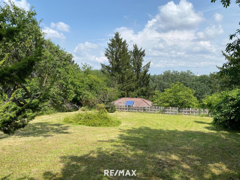 Haus - 3400, Klosterneuburg - Natur Pur!