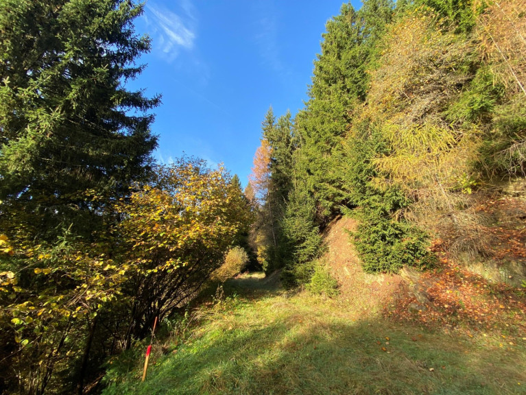 Land und Forstwirtschaft - 9872, Gössering - Schönes Waldgrundstück oberhalb des Millstätter Sees