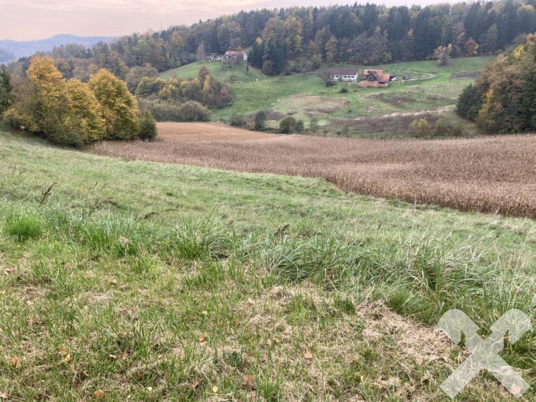 Grundstück - 8332, Edelsbach - Ackergrundstück mit Wiese Nähe Feldbach