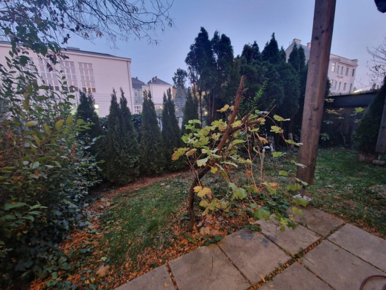 Wohnung - 1140, Wien - Gartenwohnung mit Terrasse in Grünlage