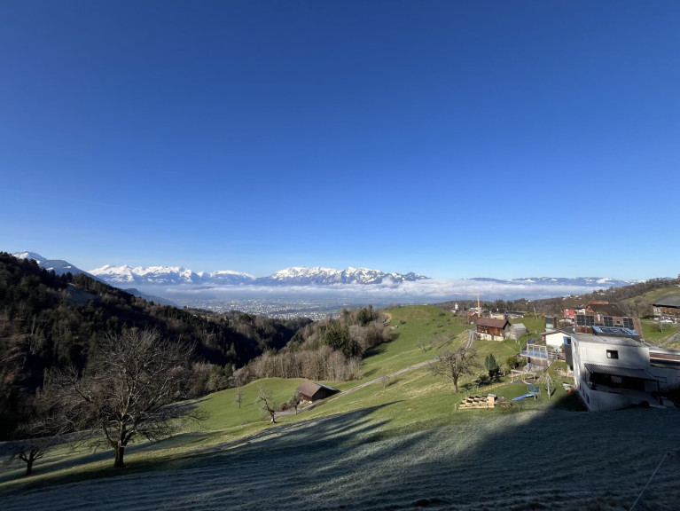 Grundstück - 6835, Zwischenwasser - Versteigerung - Baugrundstück in schöner Hanglage