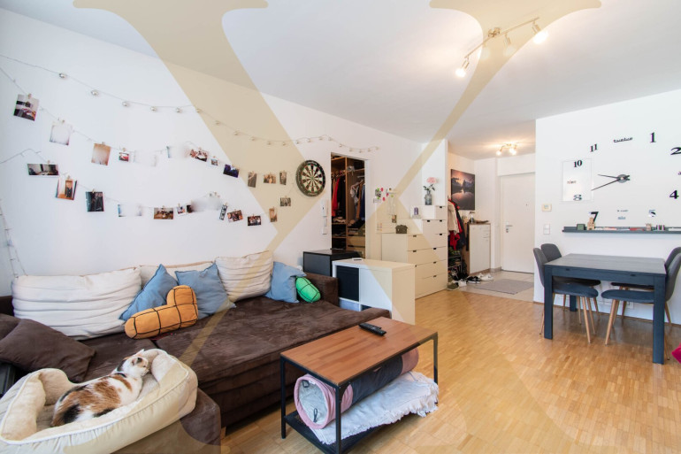 Wohnung - 4040, Linz - WGs Willkommen! 4-Zimmer-Wohnung mit Einbauküche und Terrasse in Linz/Urfahr zu vermieten!