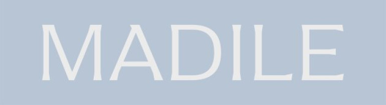 Madile Wohnbau GmbH - Immobilen Makler