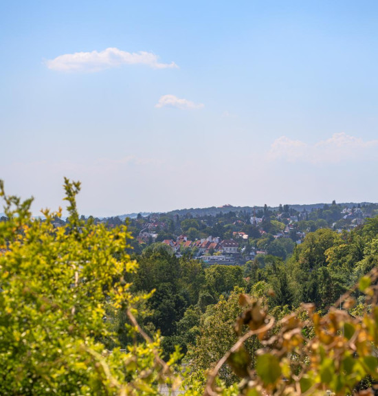 Grundstück - 1190, Wien - Sieveringer Villenlage: Weitblick,  perfekte Ausrichtung und jede Menge Privatsphäre