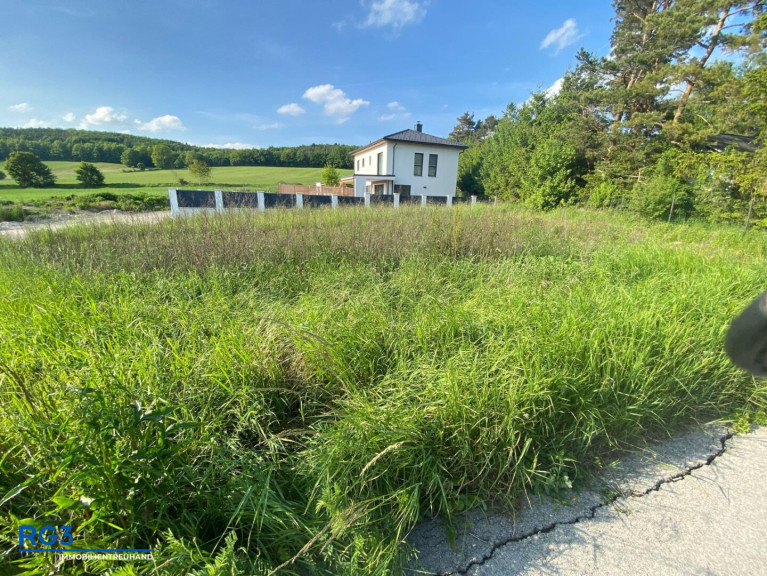 Grundstück - 2500, Siegenfeld - Traumhaftes Baugrundstück in Siegenfeld