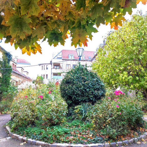 Büro / Praxis - 2500, Baden - Topsaniert - Geschäftslokal/Praxis/Büro/Atelier mit Freifläche