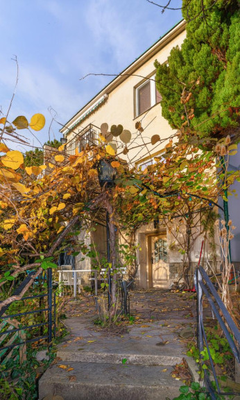 Haus - 1190, Wien - Unverbaubaure Sonnenhanglage: Erwecken Sie diese 60er-Jahre Villa zu neuem Leben