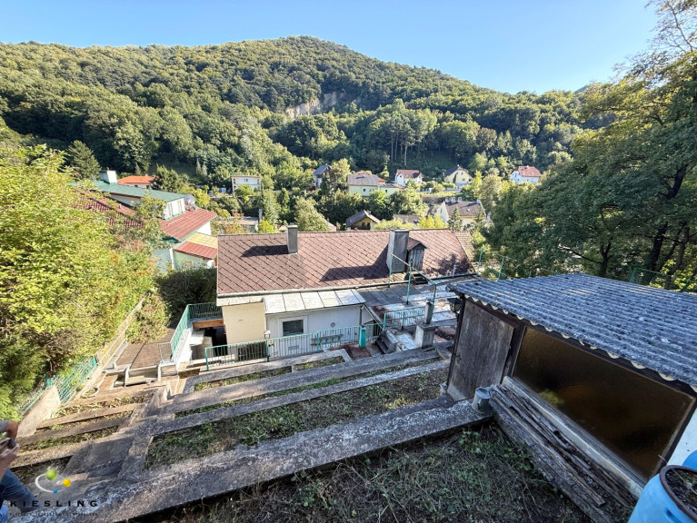 Haus - 2391, Kaltenleutgeben - Erschaffen Sie Ihre Wohlfüloase! Grundstück mit Altbau in Kaltenleutgeben - idealer Familienwohnsitz