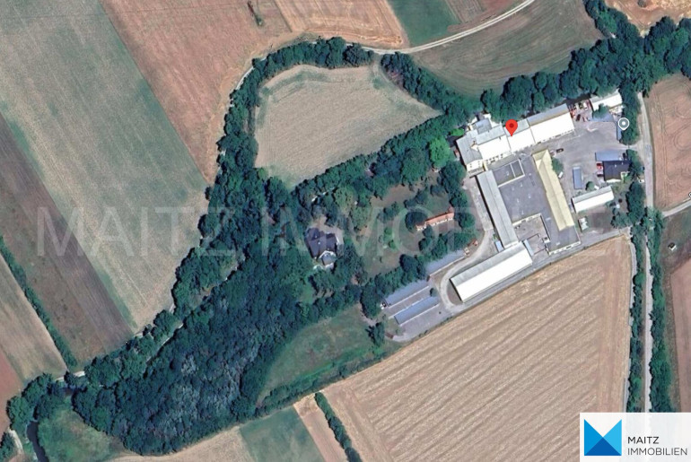 Halle / Lager / Produktion - 2625, Schwarzau am Steinfeld - Historische Villa von Architekt Ignaz Endlweber | inkl. Gewerbeflächen & Kleinwasserkraft