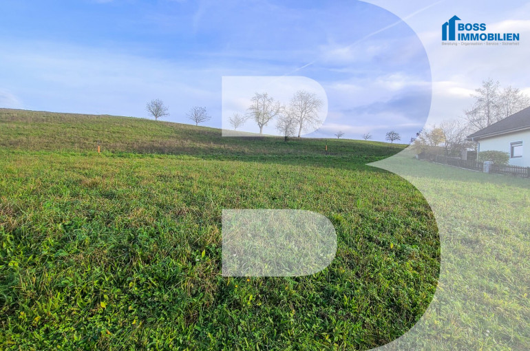 Grundstück - 4502, Oberschöfring - Ihr Baugrundstück in Siedlungslage