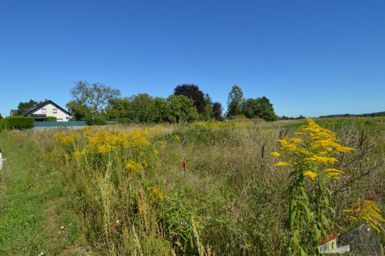 Grundstück - 2700, Wiener Neustadt - 1.930 m² Grundstück umgeben von Feldern