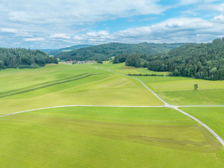 Land und Forstwirtschaft - 5202, Neumarkt am Wallersee - Landwirtschaftliche Nutzfläche in Neumarkt am Wallersee