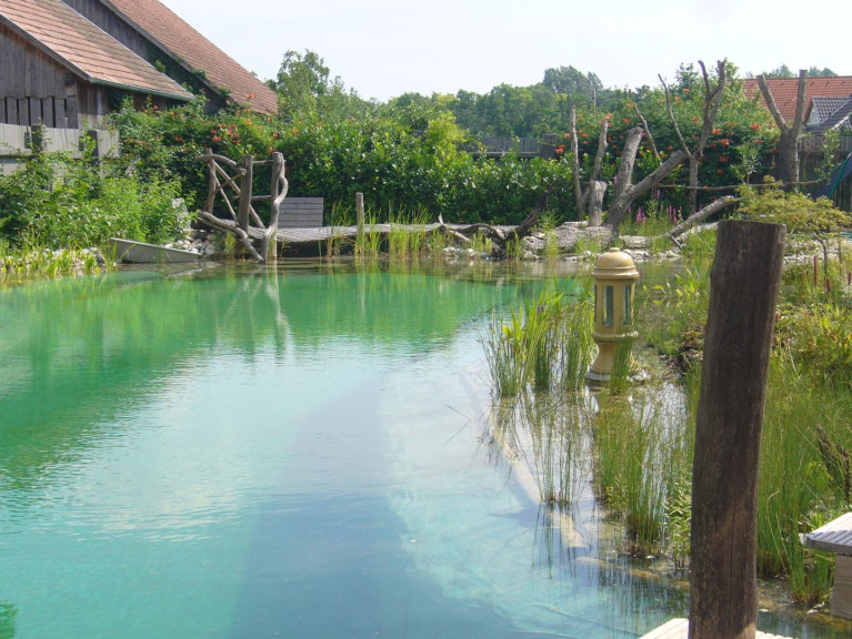 Haus - 2013, Großstelzendorf - - 1.974 M² GRUNDSTÜCK MIT ALTBESTAND &amp; ERTRAGSPOTENZIAL