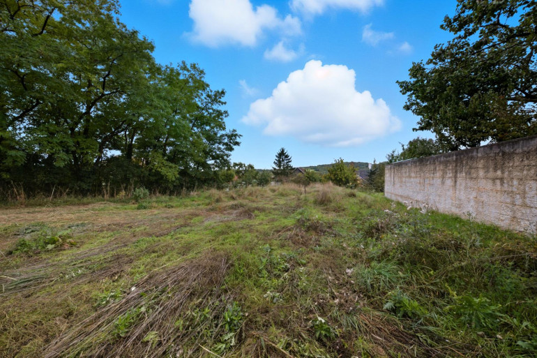Grundstück - 3701, Großweikersdorf - Vielseitiges Baugrundstück in Großweikersdorf – ideal für Ihr Wohnprojekt oder als Investment