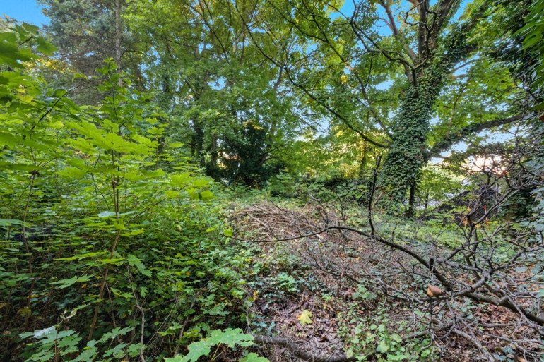 Grundstück - 2102, Bisamberg - Toplage Bisamberg – Bauträgergrundstück mit attraktivem Entwicklungspotenzial!