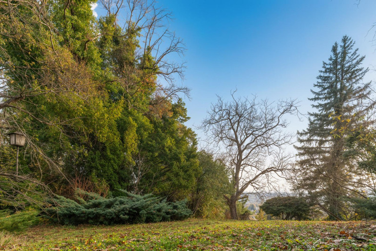 Grundstück - 1190, Wien - Sieveringer Villenlage: Weitblick, perfekte Ausrichtung und jede Menge Privatsphäre