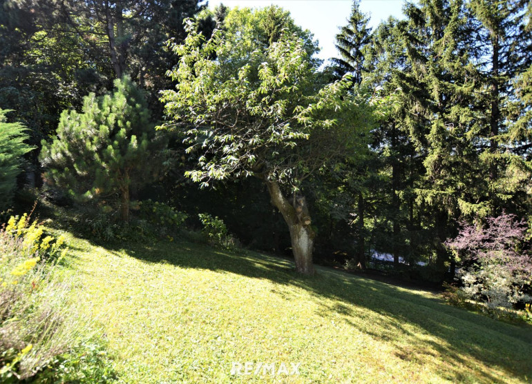 Grundstück - 1140, Wien - Baugrundstück im Augustinerwald - Naturidylle mit Hanglage